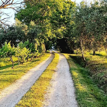 Appartement Country Chic Antico Casale - Piscina Idromassaggio Lettini, Solarium, Cinema Experience, Wifi, Parcheggio Caiazzo